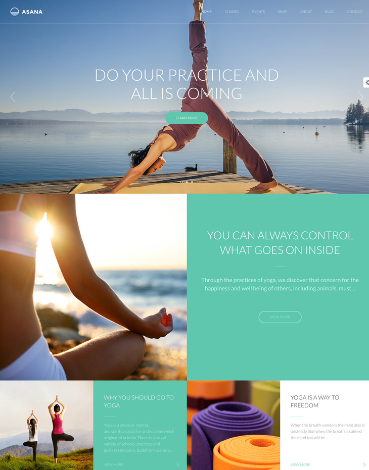 Asana WordPress Theme