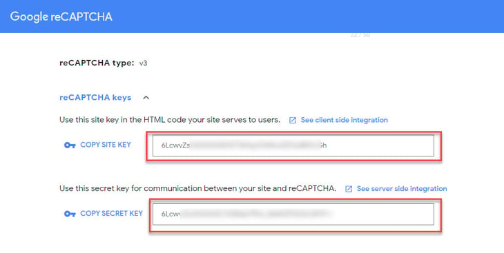 copy site key and secret key