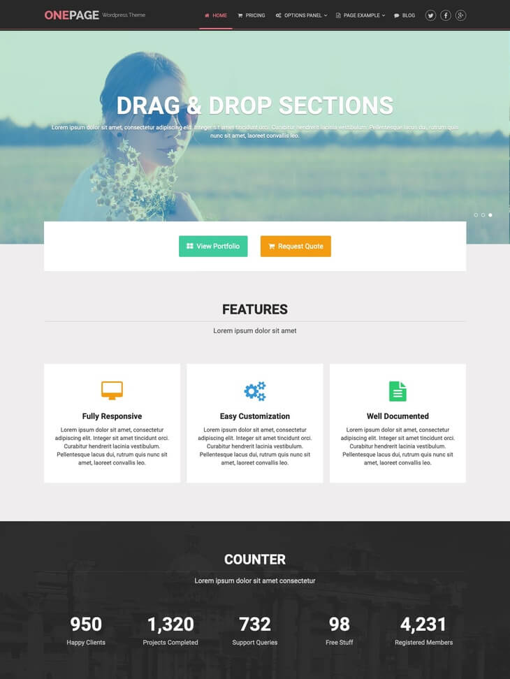 OnePage WordPress Theme