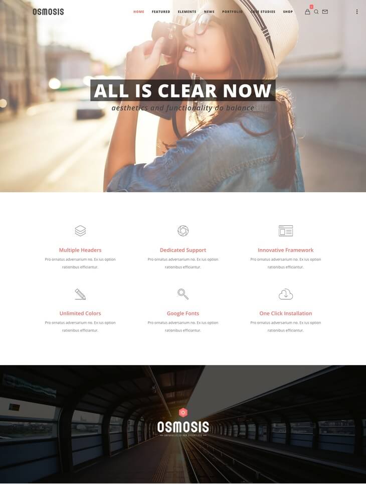 Osmosis WordPress Theme