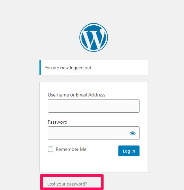 Resetting password from the login panel