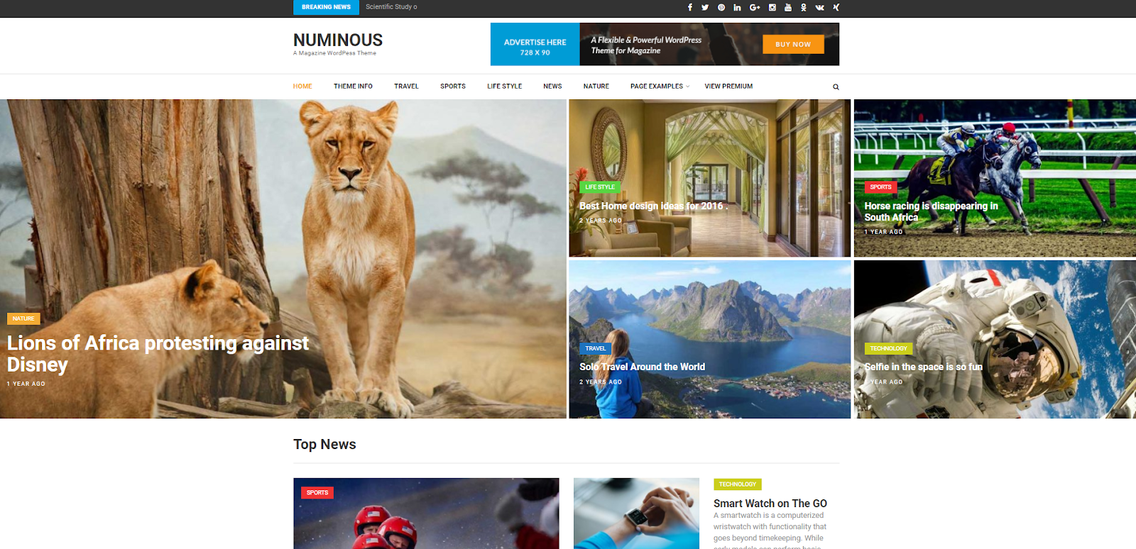 Numinous WordPress Theme