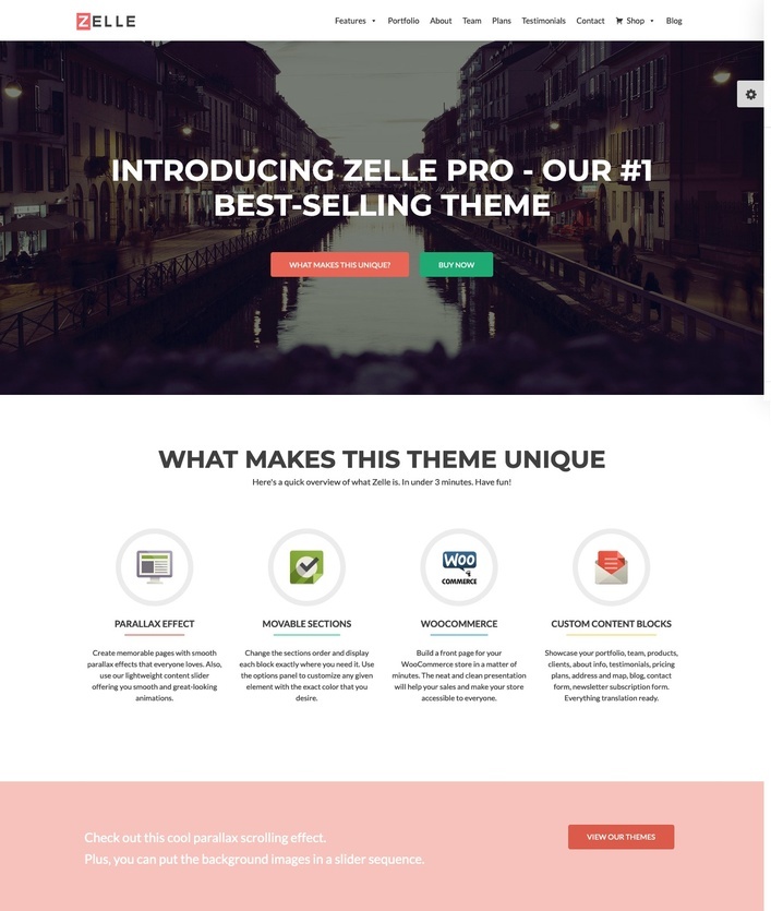 Zelle Pro WordPress Theme