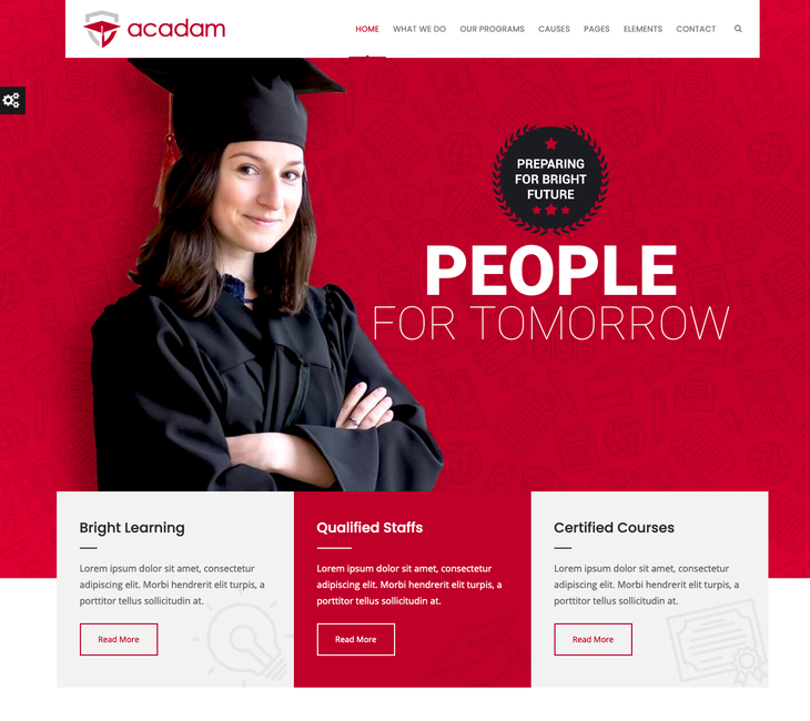 Acadam Lite WordPress Theme