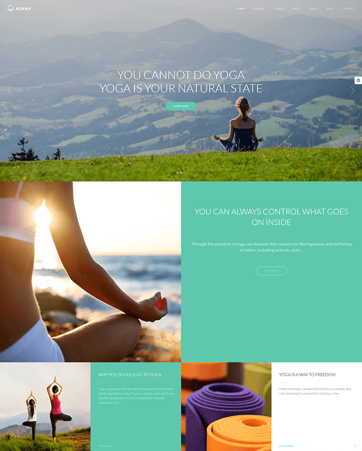 Asana WordPress Theme