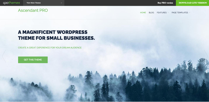 Ascedant WordPress Theme