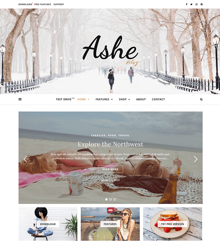 Ashe Free WordPress Theme