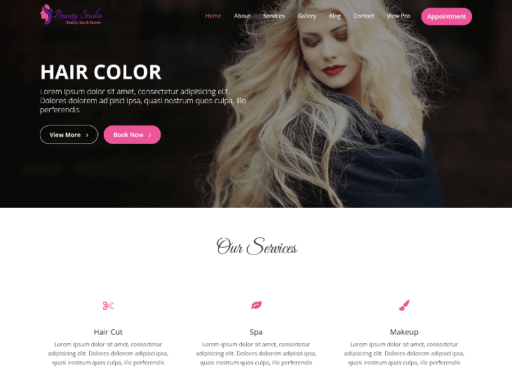 Beauty Studio WordPress Theme