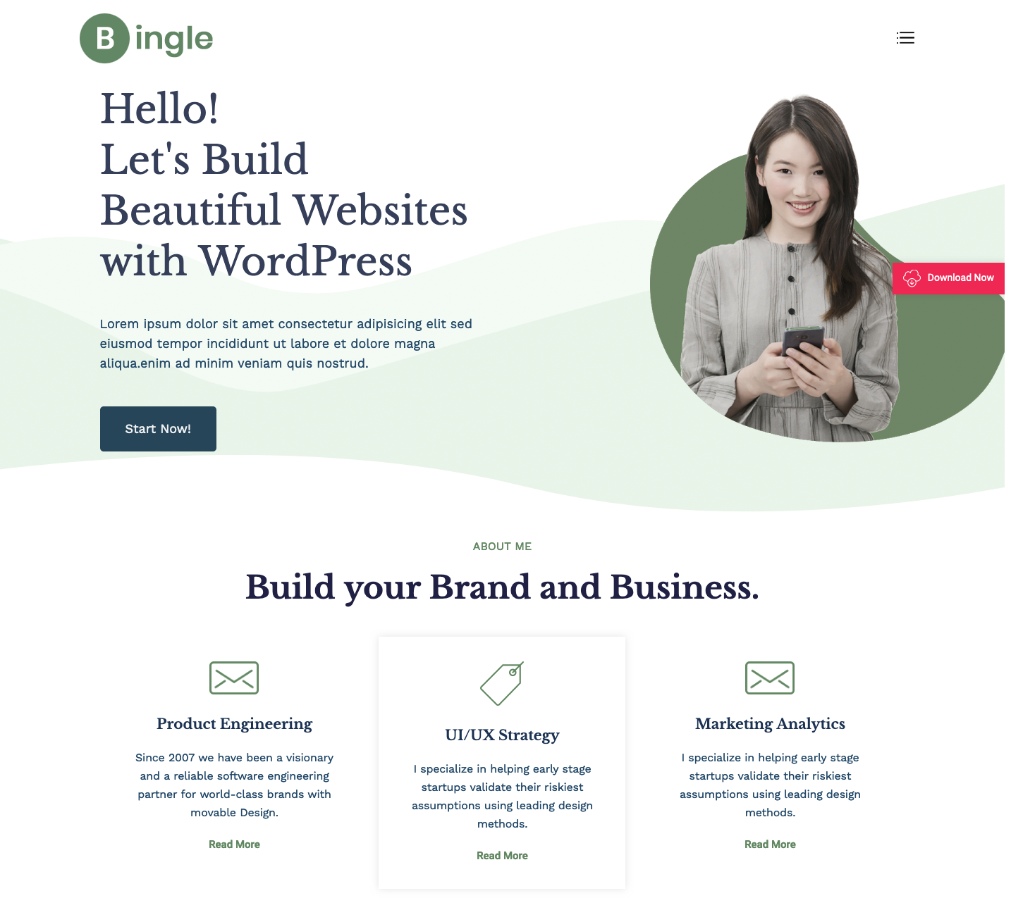 Bingle WordPress Theme