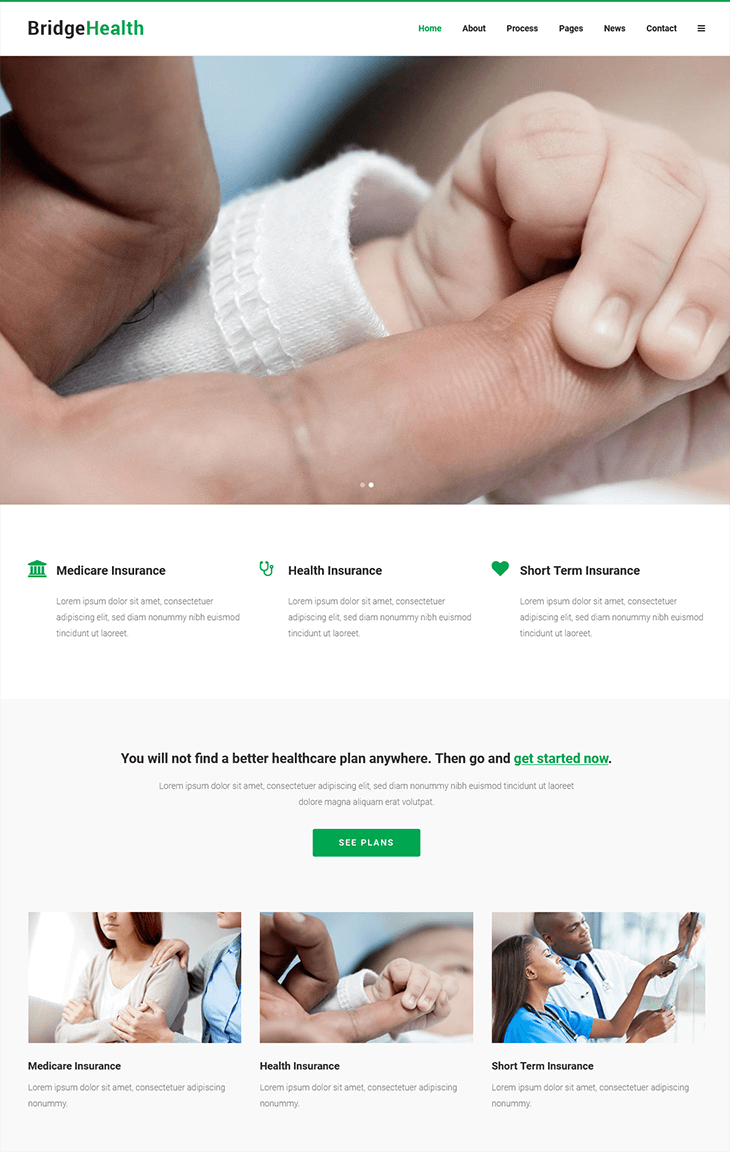 Bridge WordPress Theme for Health Care