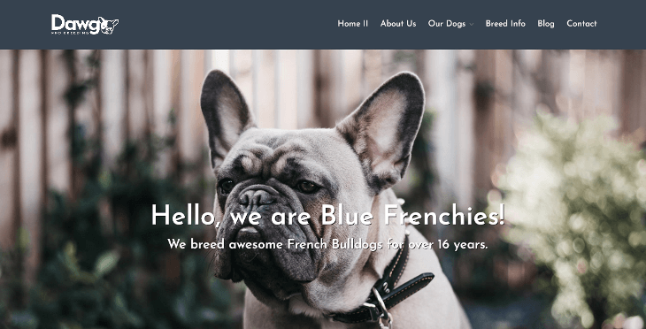 Dawg WordPress Theme