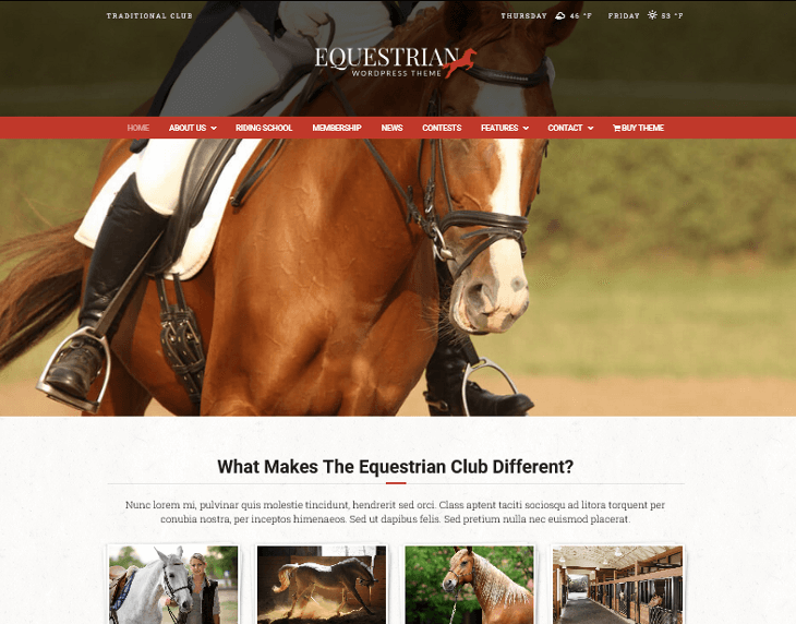 Equestrian WordPress Theme