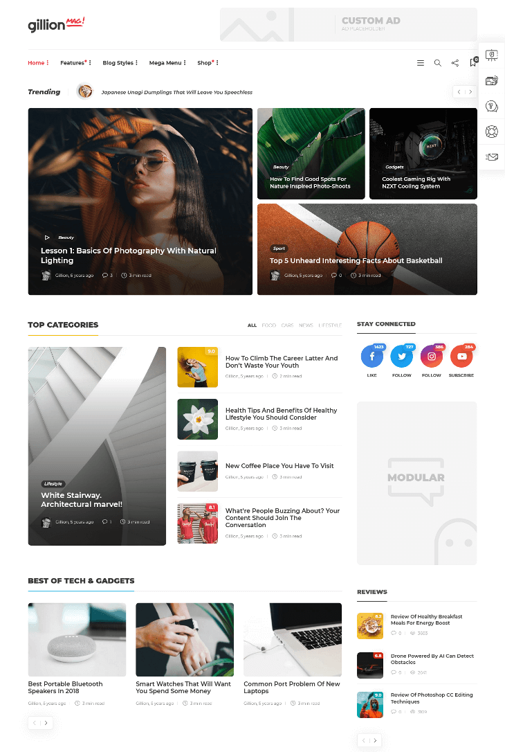 Gillion WordPress Theme