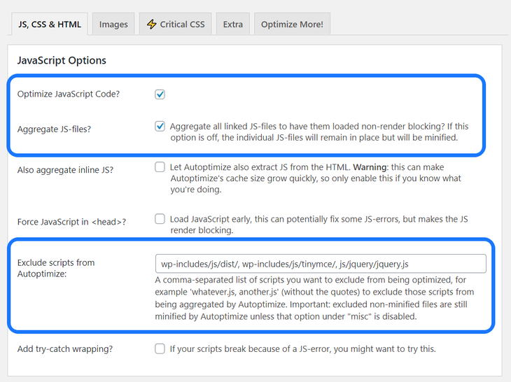 Highlighting two sections in the Settings page of Autoptimize WordPress plugin