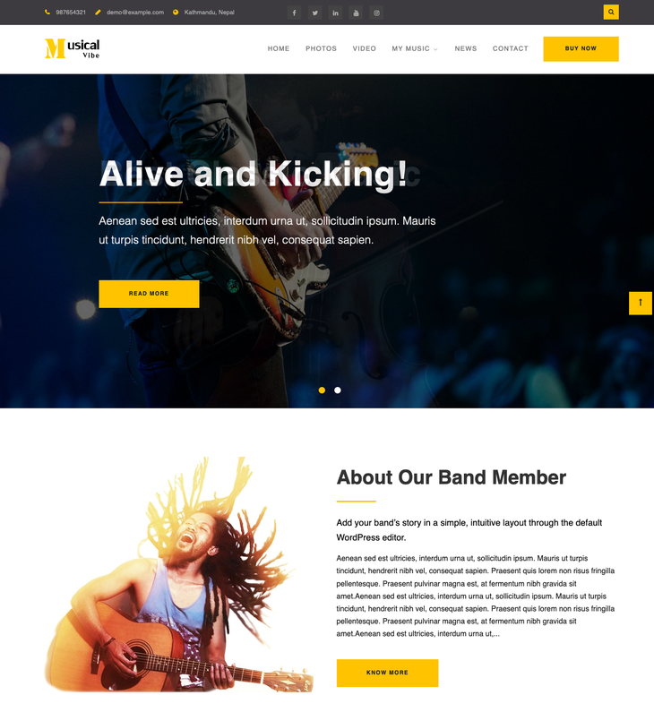 Musical Vibe WordPress theme