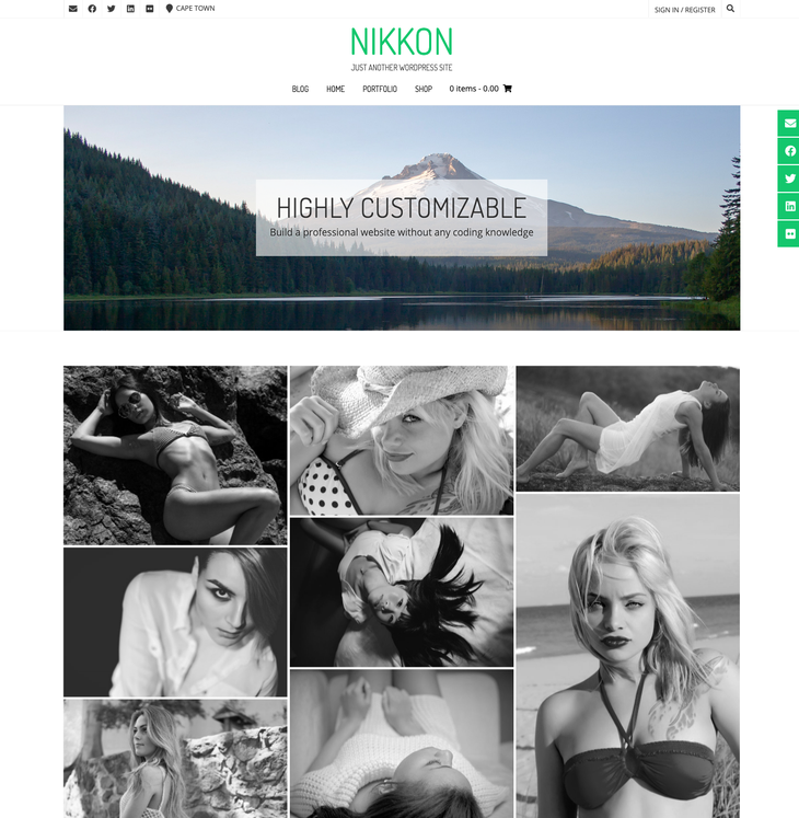 Nikkon WordPress Theme