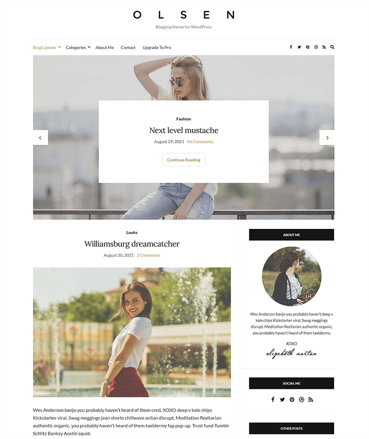 Olsen Free WordPress Theme