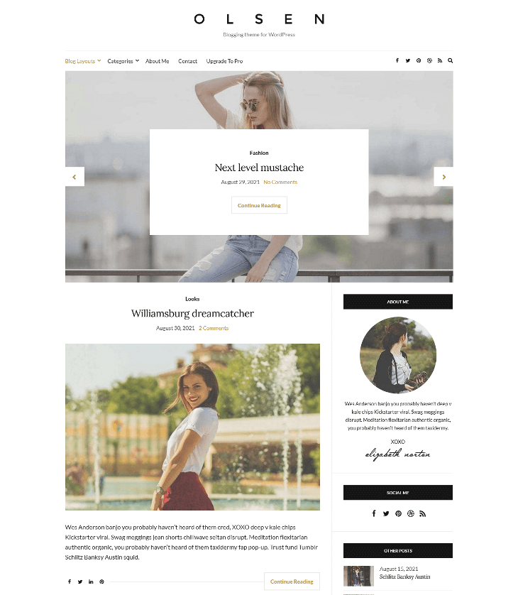 Olsen Light WordPress Theme