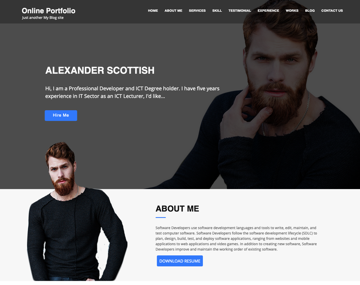 Online Portfolio WordPress Theme