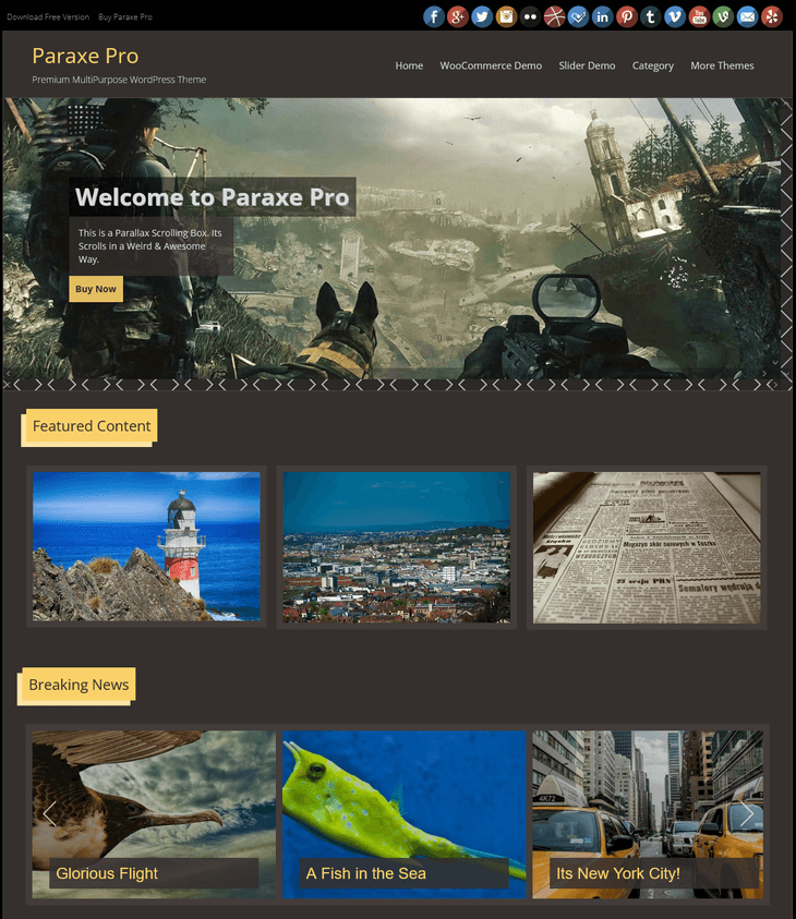 Paraxe WordPress Theme