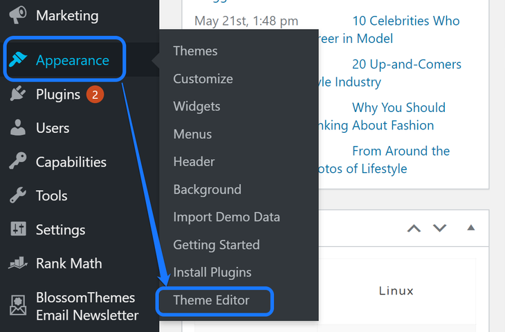 Pointing at the Theme Editor button under the Appearance option in WordPress sidebar