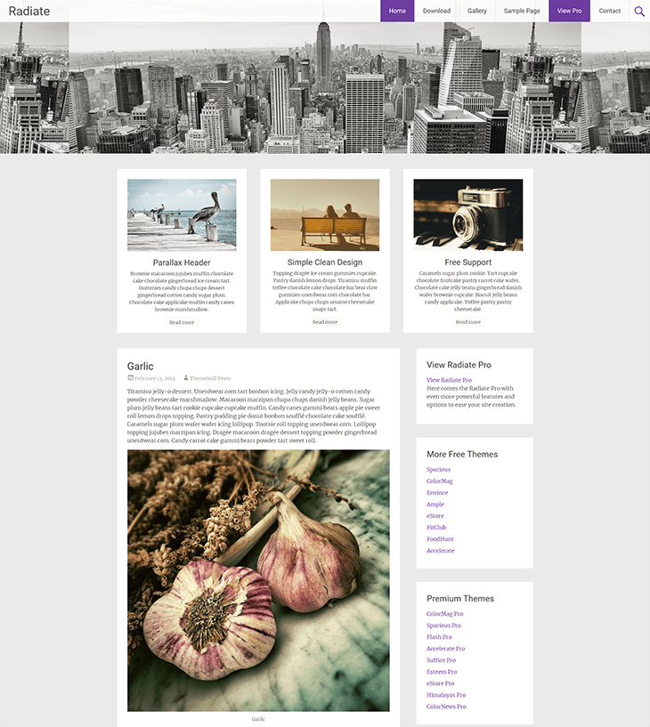 Radiate Free WordPress Theme