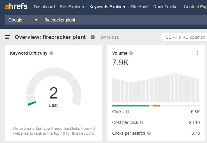 Keyword's Search Volume