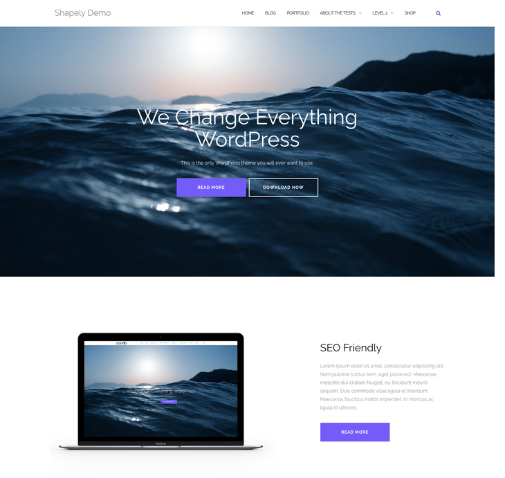 Shapely WordPress Theme