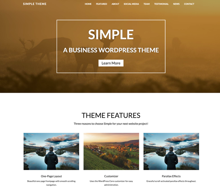 Simple WordPress Theme